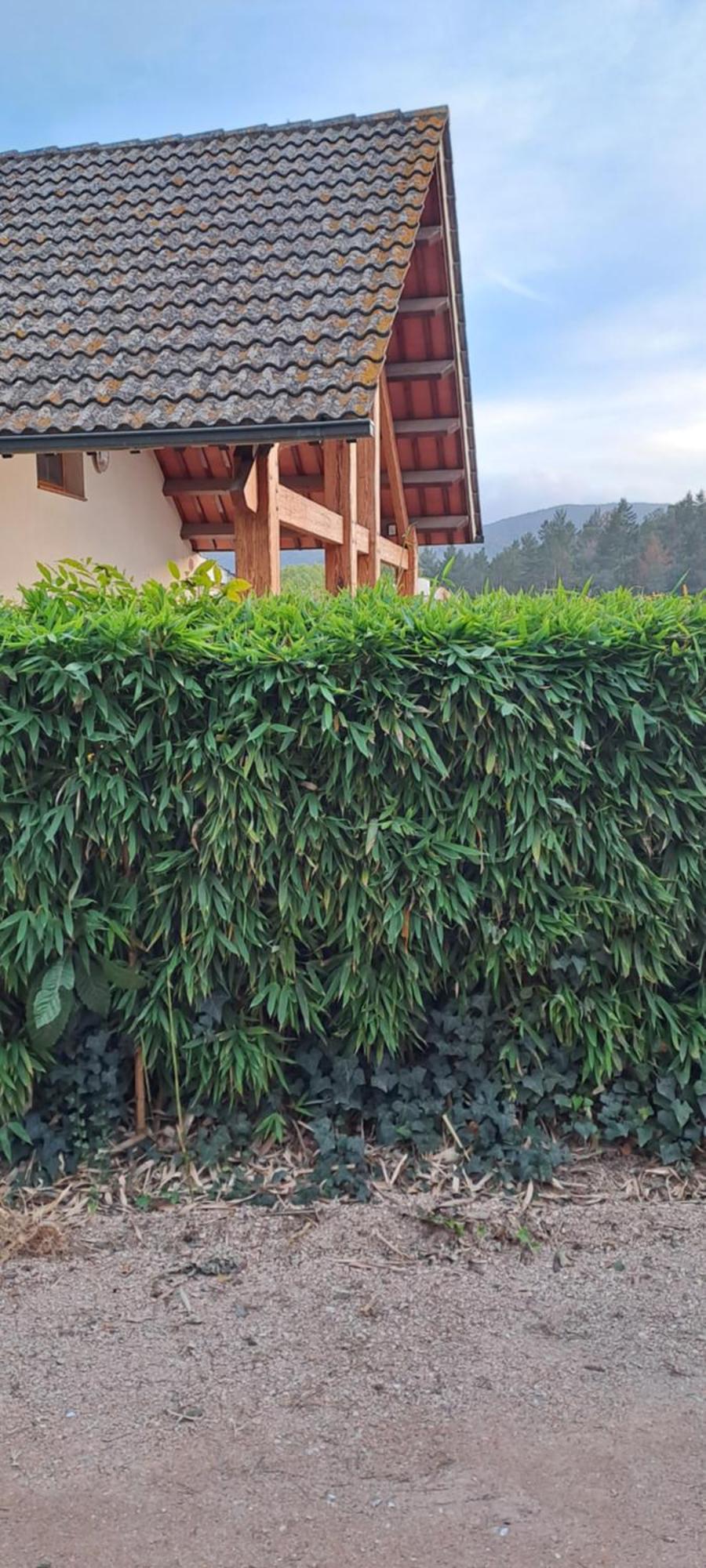 Chalet Entre Parques Naturales Vallgorguina ภายนอก รูปภาพ
